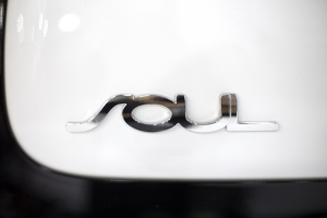 Up Close of Soul on Model