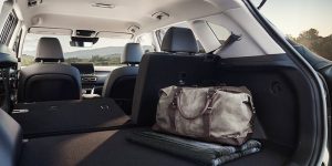 2023 Kia Seltos | Frederick, MD