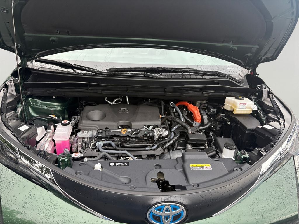 2025 Toyota Sienna XLE 7 Passenger