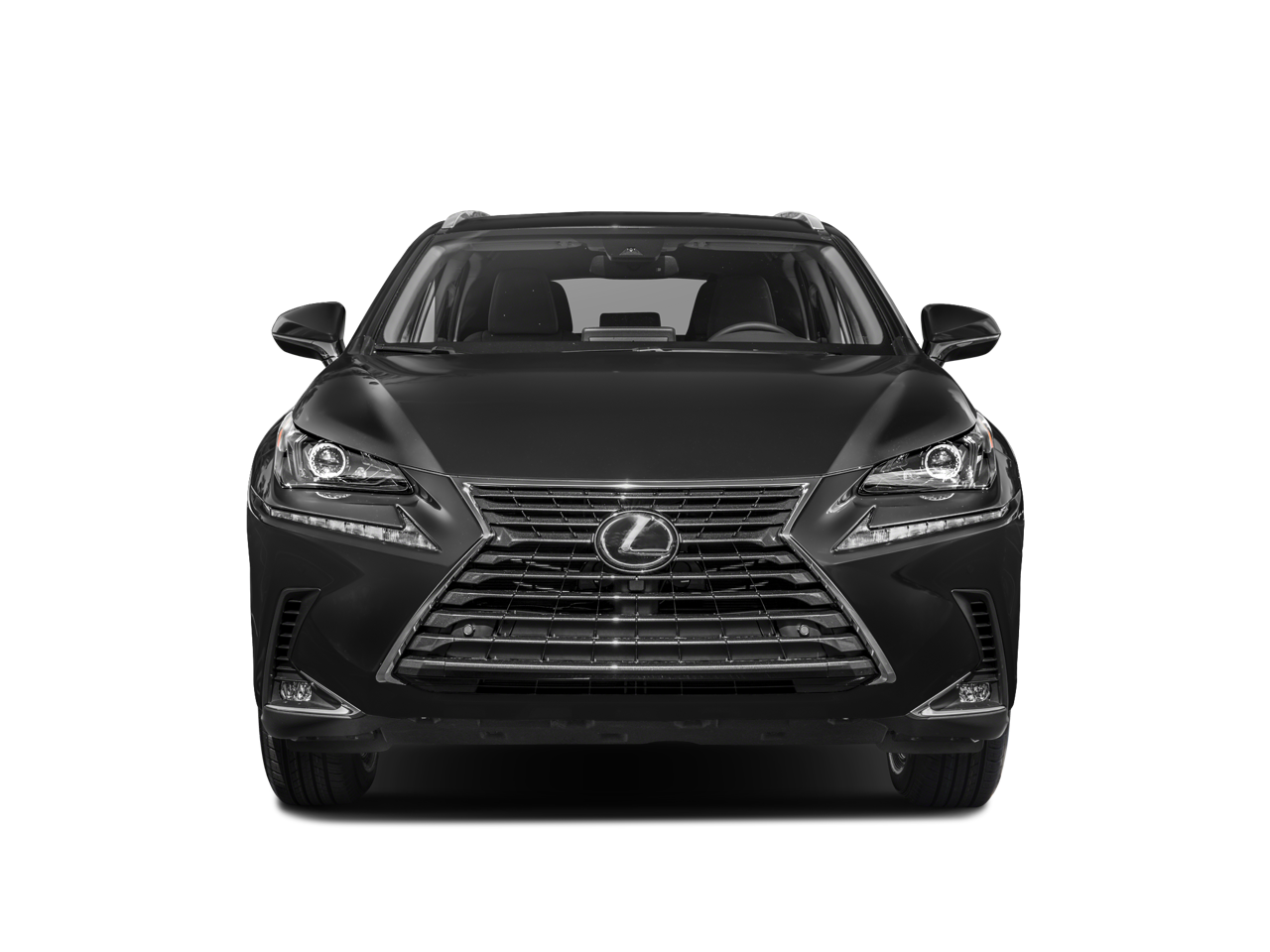 2019 Lexus NX 300 Base 300 Base