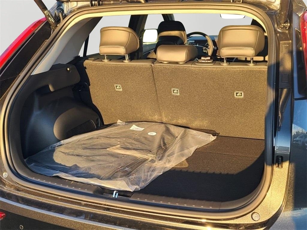 2025 Kia Niro EV Wind